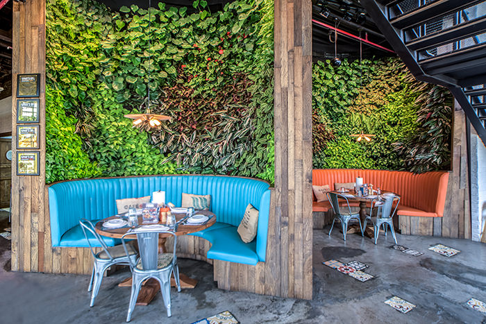 Award winning green walls-2