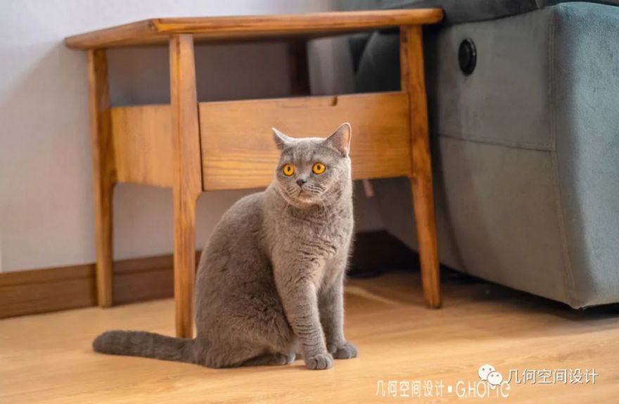 蔷薇溪谷现代简约之家 | 原木之魅,温馨与自然-41