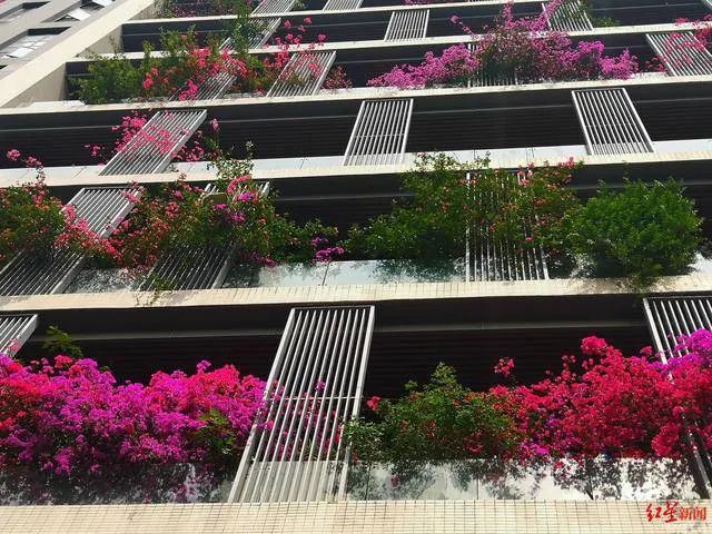 成都 30 层高楼变身“空中花园”,设计亮点一一解读-11