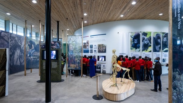 The Ellen DeGeneres Campus of the Dian Fossey Gorilla Fund | MASS Design Group-89