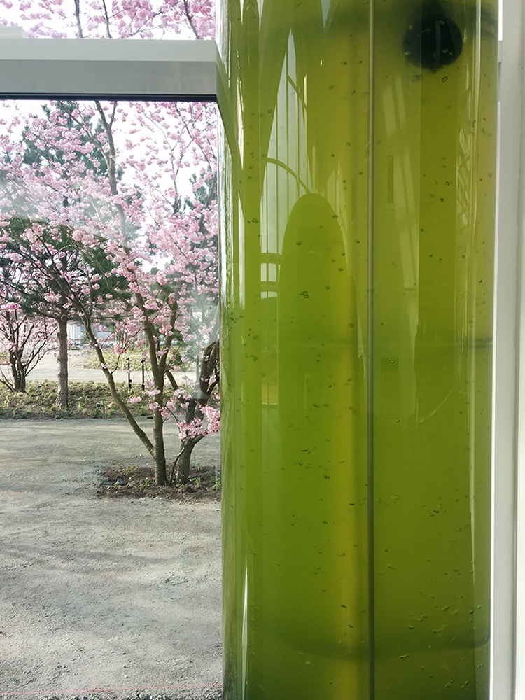 خانه راه حل سبز（中文:绿色解决方案之家）丨丹麦丨3XN建筑事务所-36