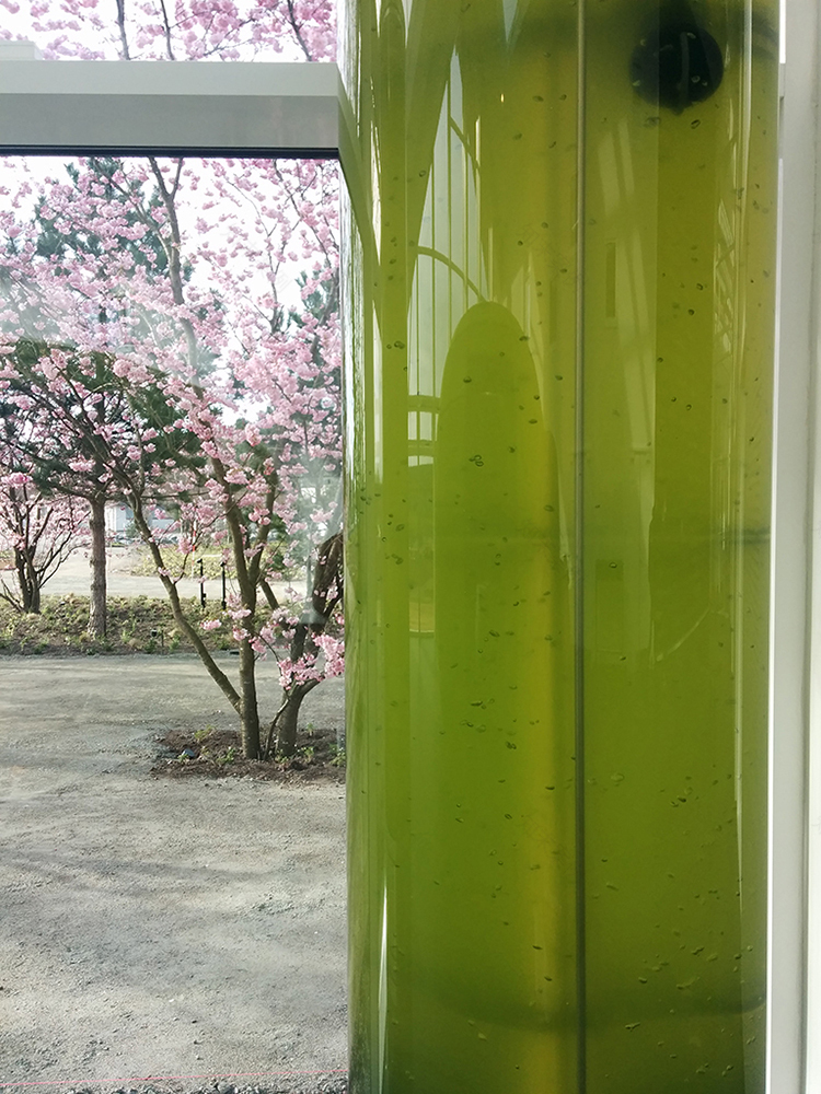 خانه راه حل سبز(中文:绿色解决方案之家)丨丹麦丨3XN建筑事务所-36