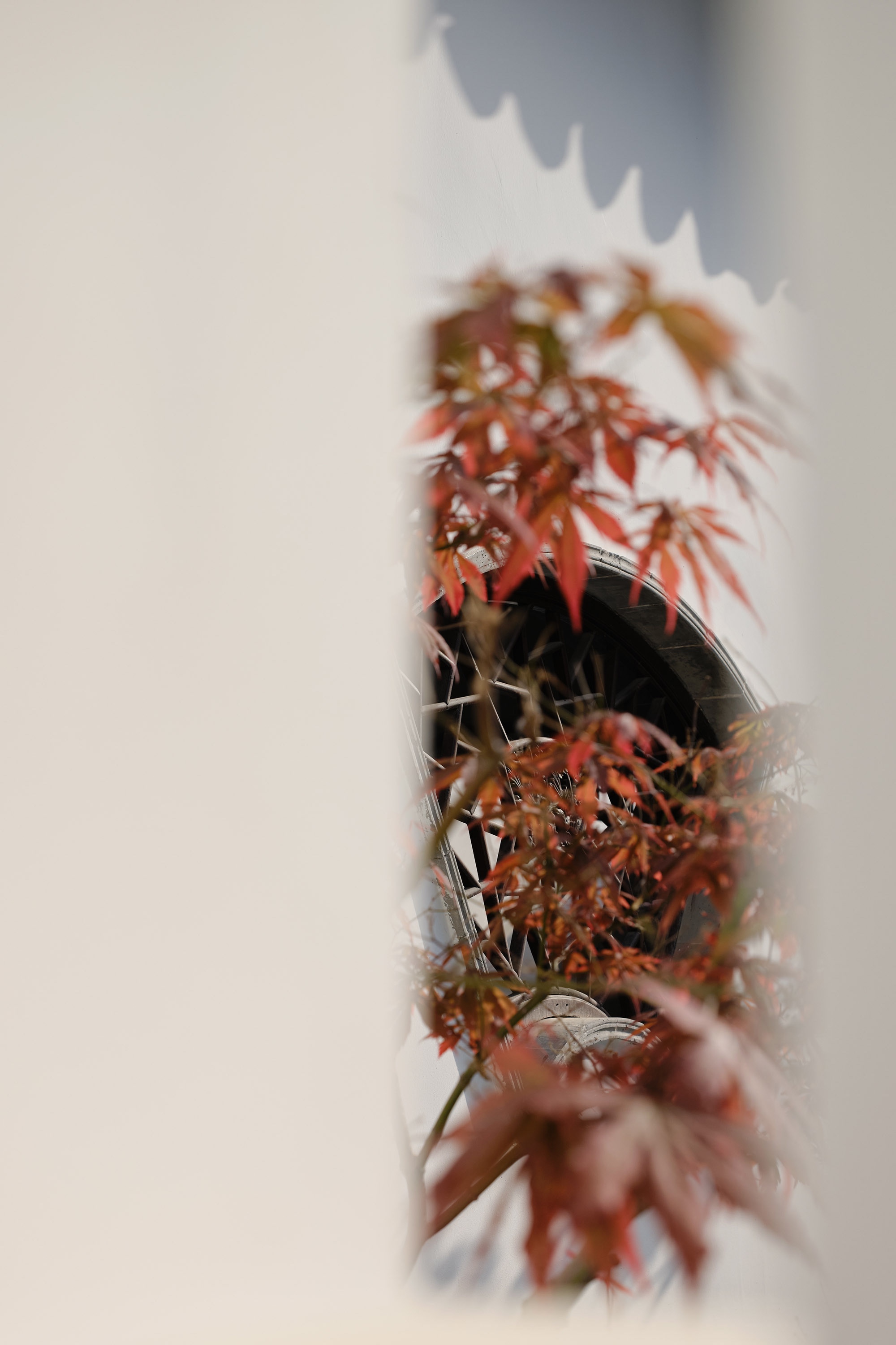 庚空间设计丨漫画蜗牛民宿-8