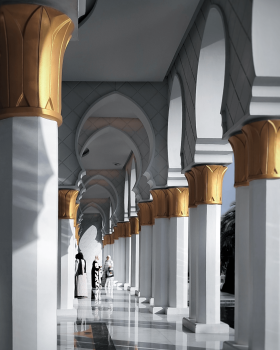 Masjid Syeikh Zayed（赛义德 Sheikh 清真寺）丨叙利亚拉卡