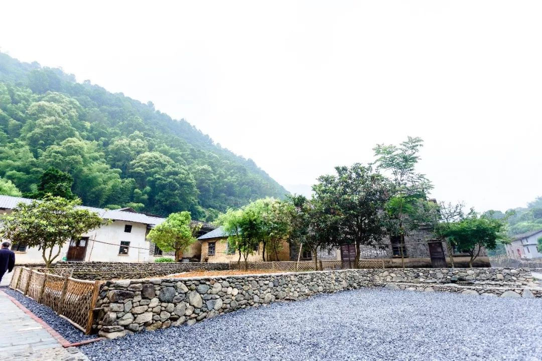 庐山桃花源景区名茶名泉节效果提升 | 打造茶禅一味的美景-140