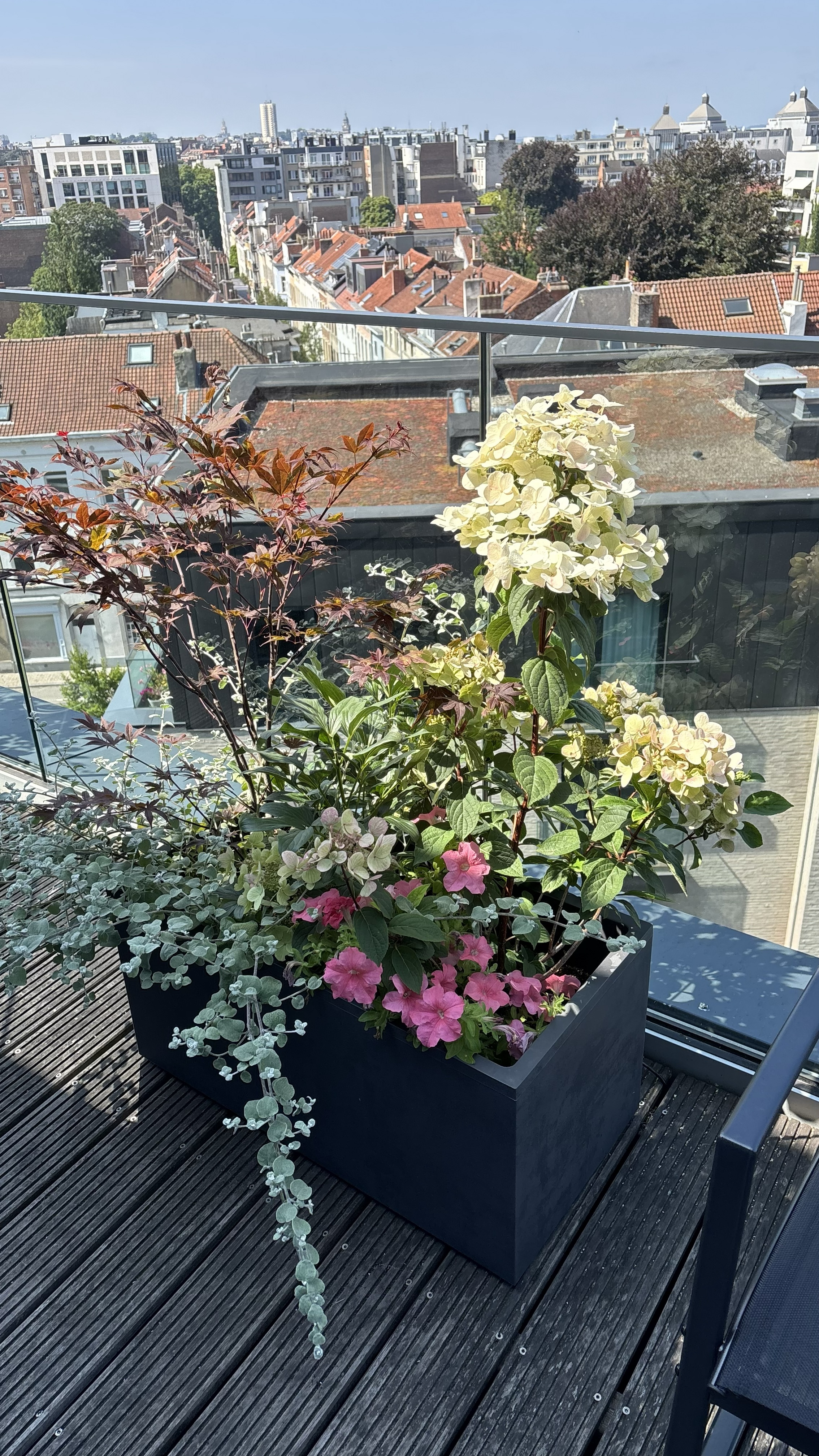 Ixelles Balcony Transformation-6