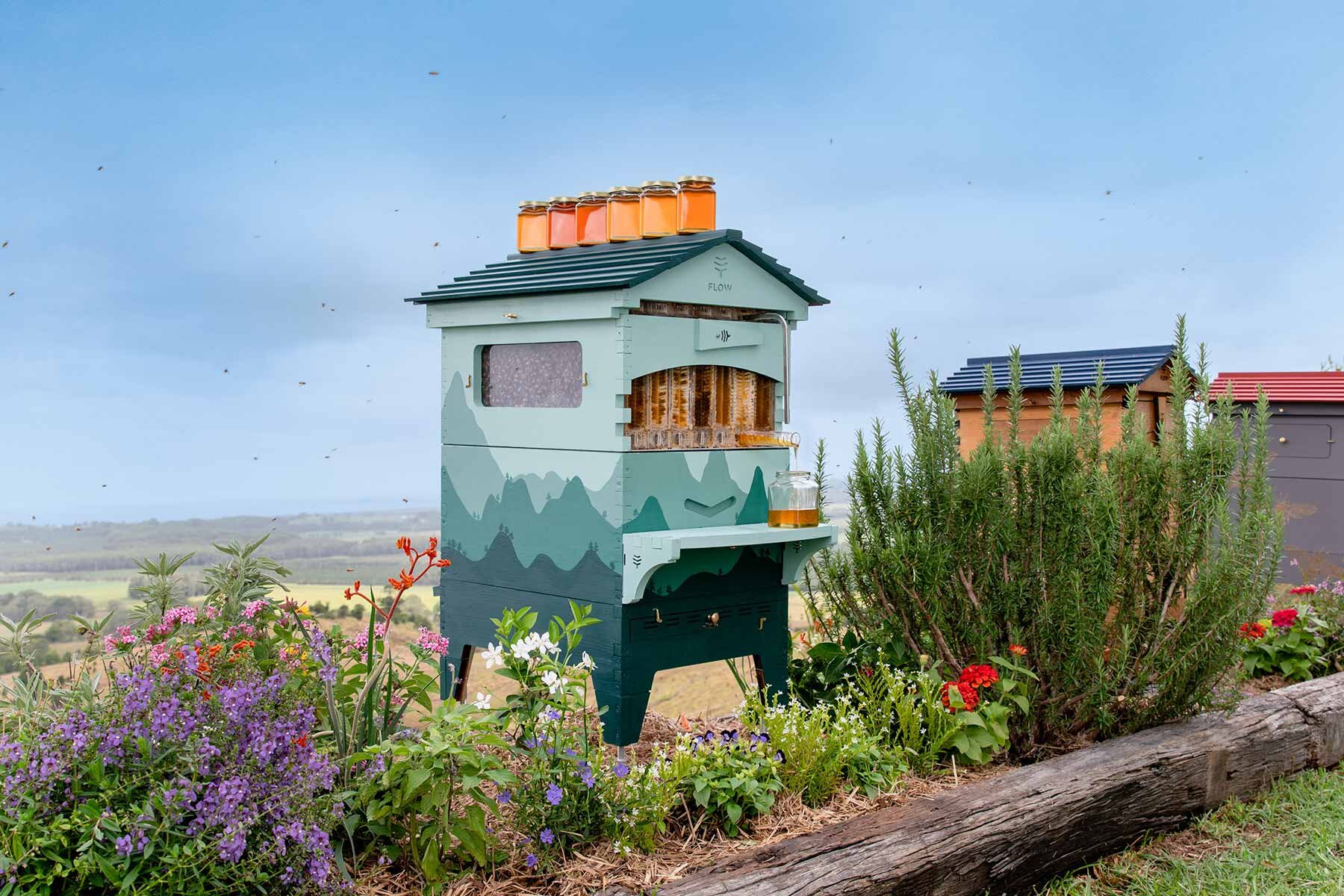 2020 World Bee Day — Adam Robinson Design-6