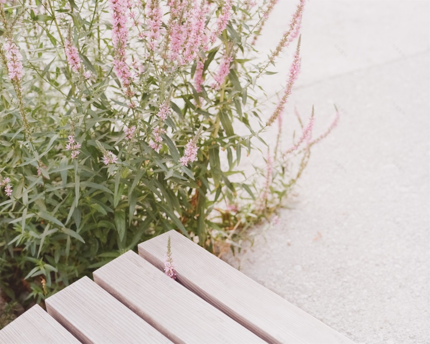 皮克游乐场丨瑞士-50