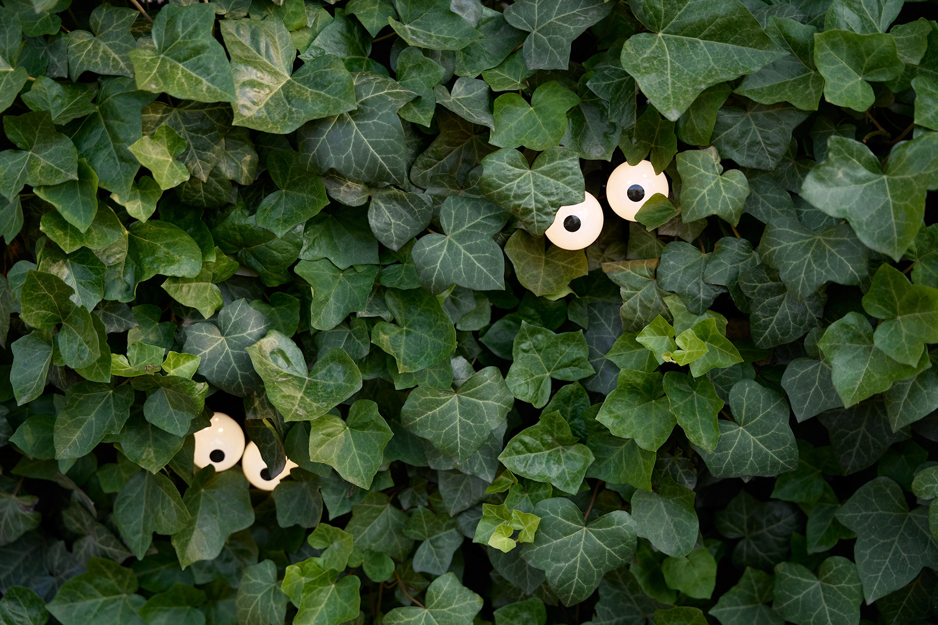 派派儿童丨乌克兰敖德萨-62