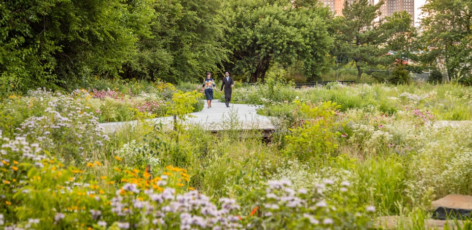 布鲁克林海军公墓景观丨美国纽约-37