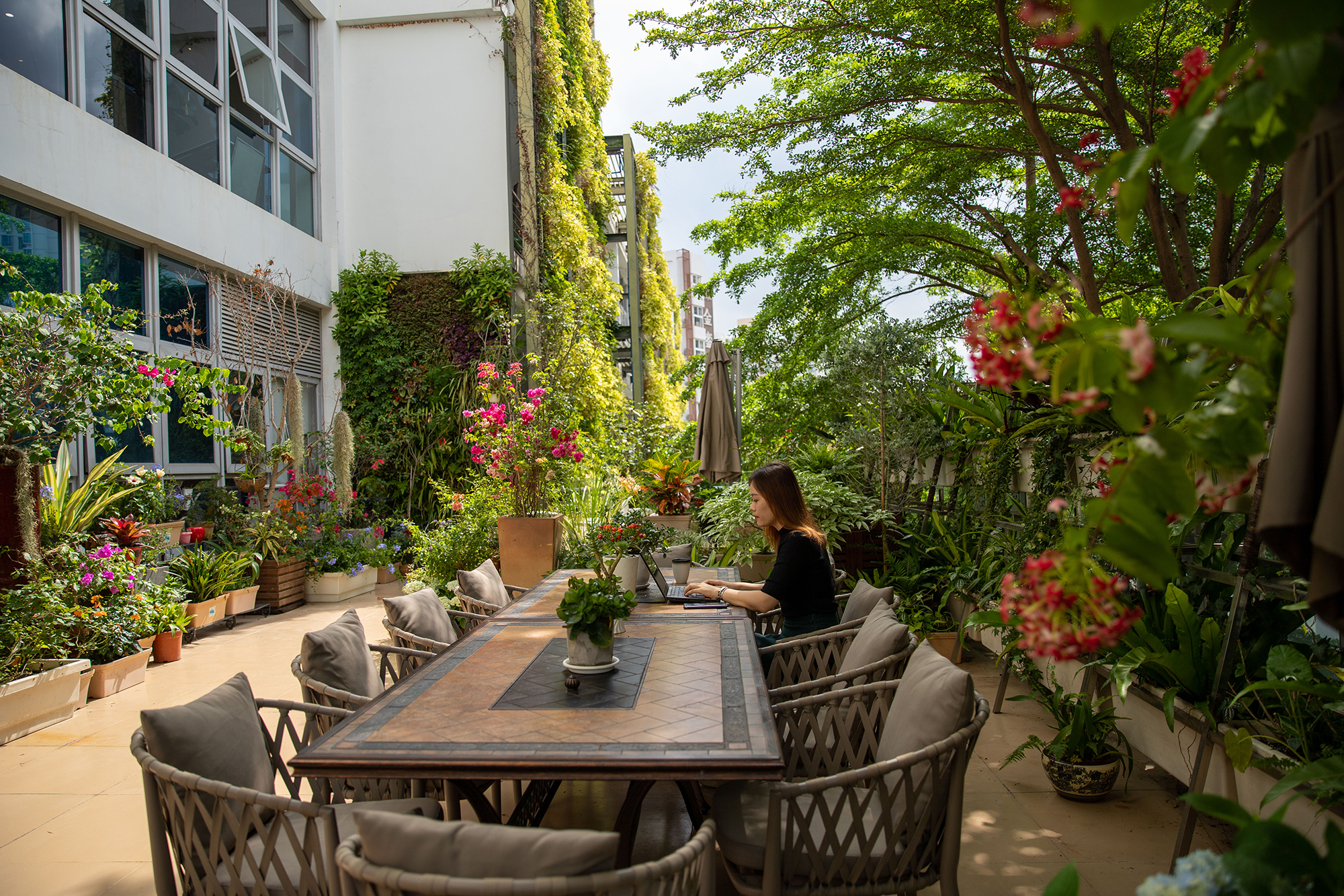 深圳南海意库5号楼屋顶花园-13