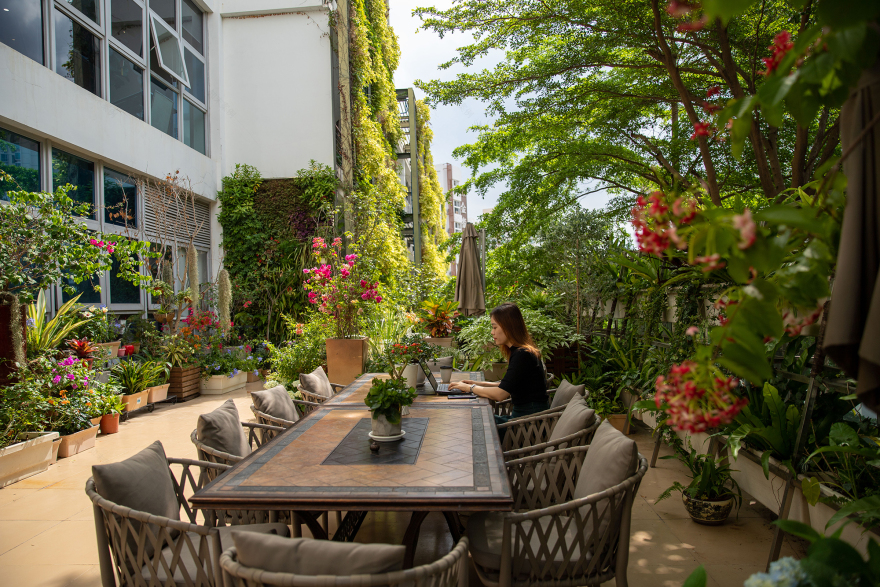 深圳南海意库5号楼屋顶花园-13