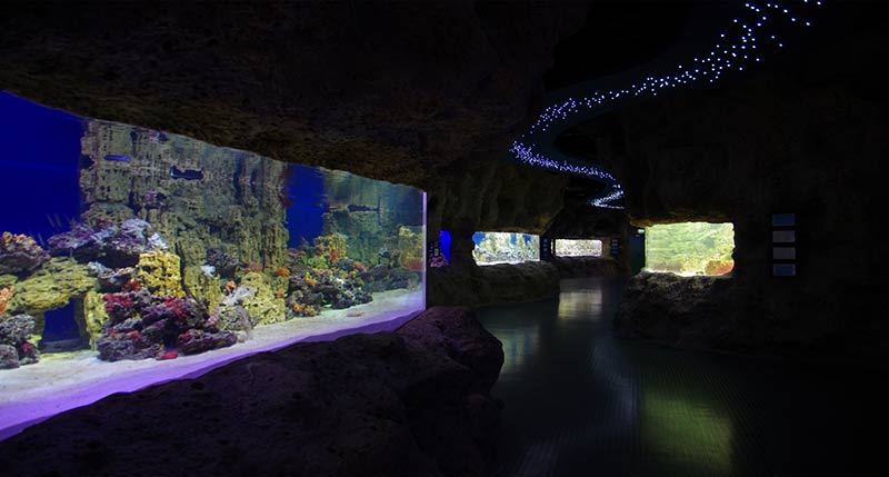 “Moskvarium”海洋馆丨俄罗斯莫斯科丨Aqua Logo Engineering-123