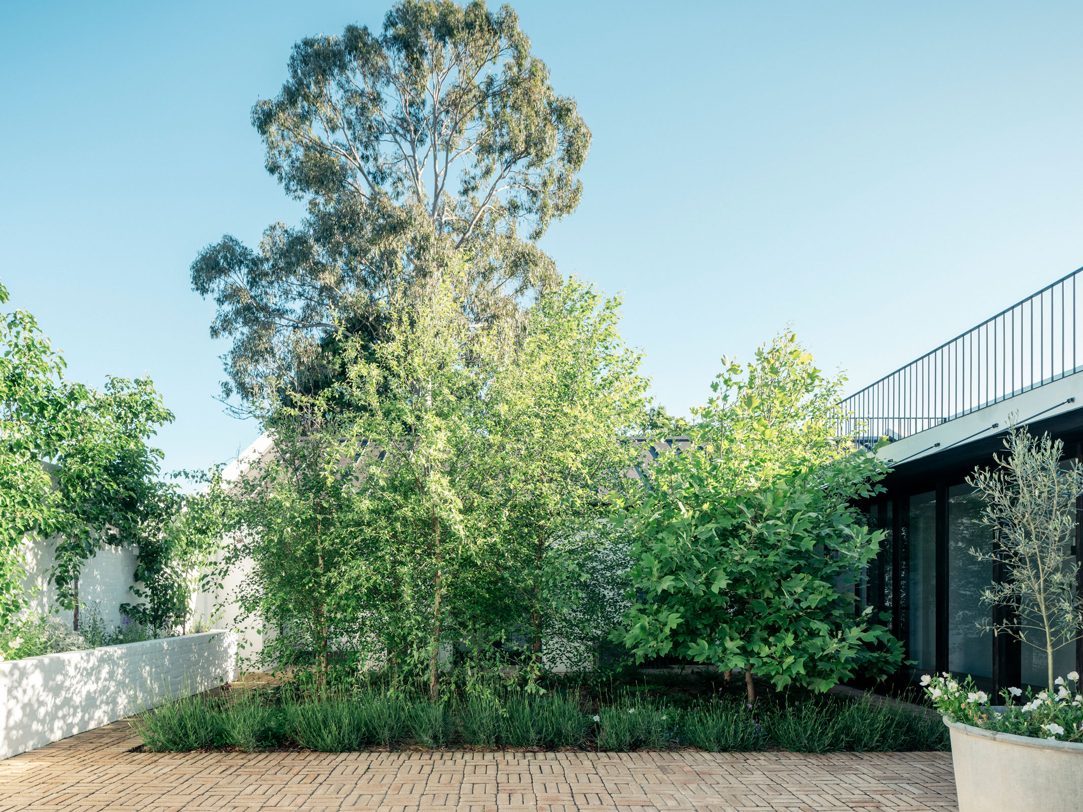 阿米代尔之家丨澳大利亚丨Richards Stanisich-26