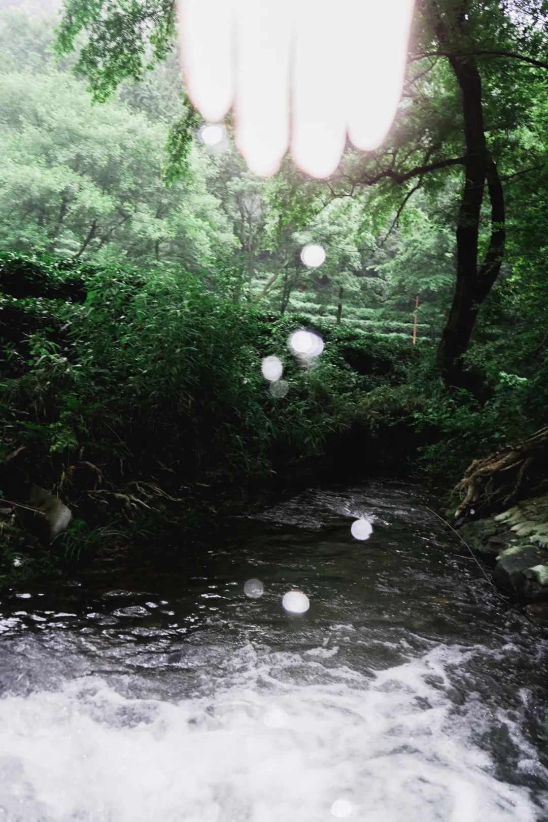 Yang Zhao  VISUAL ARTS-20