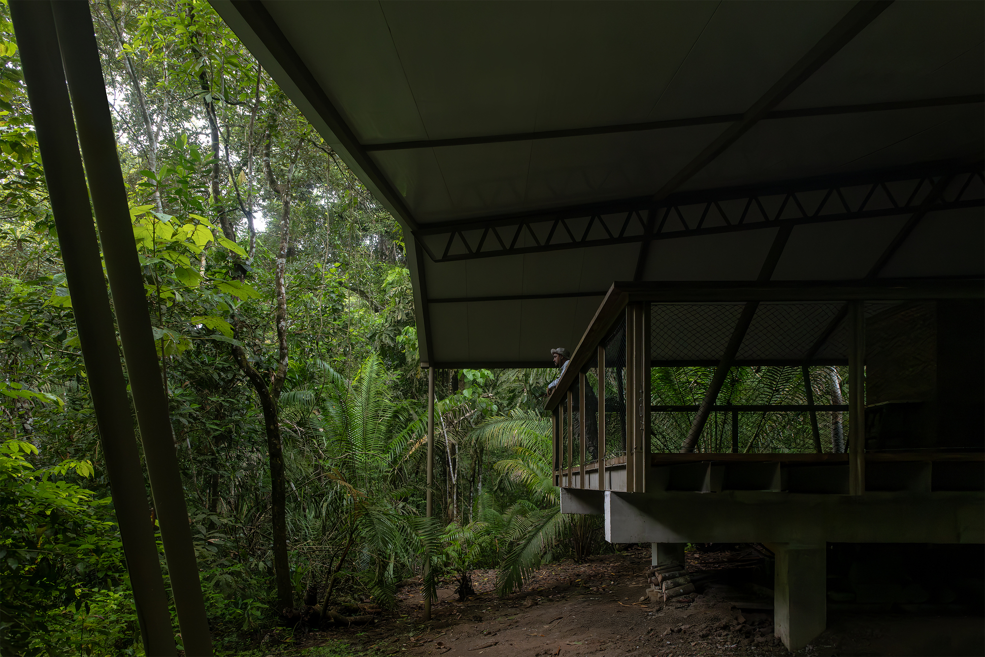 Refuge in the Rainforest - Tour Guide Training Center / Héctor Ayarza + Estudio Garúa-31