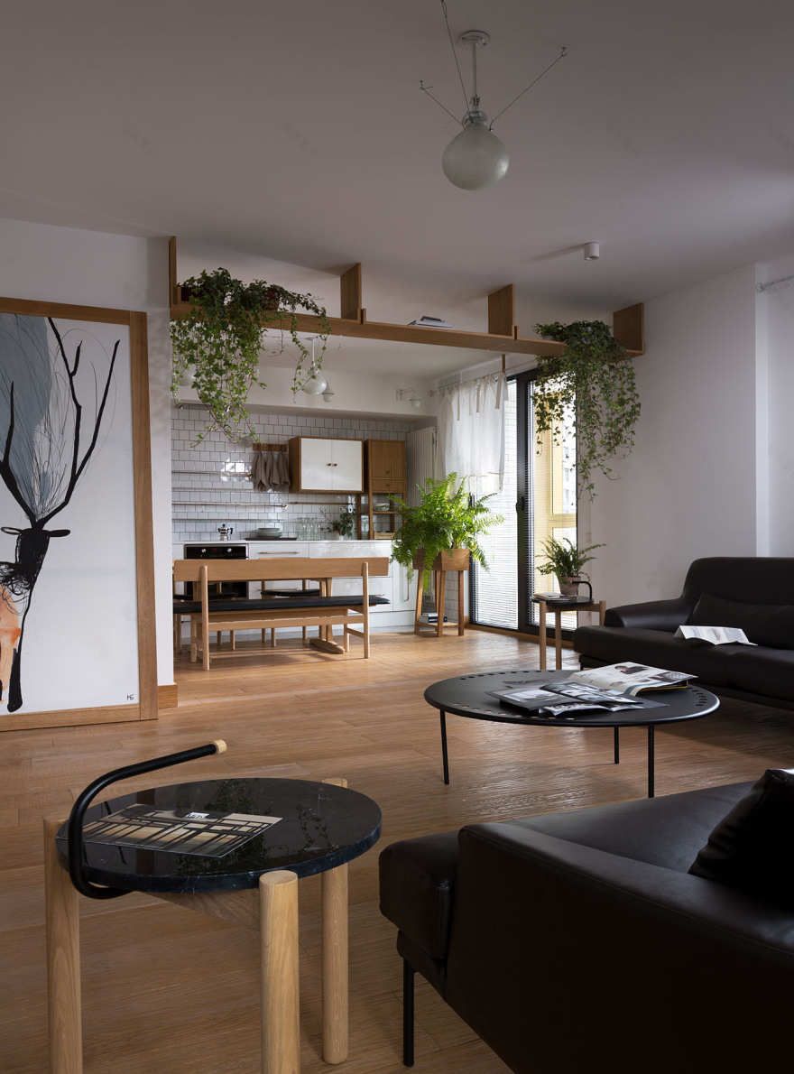 基辅别墅公寓,现代风格与艺术元素的融合-7