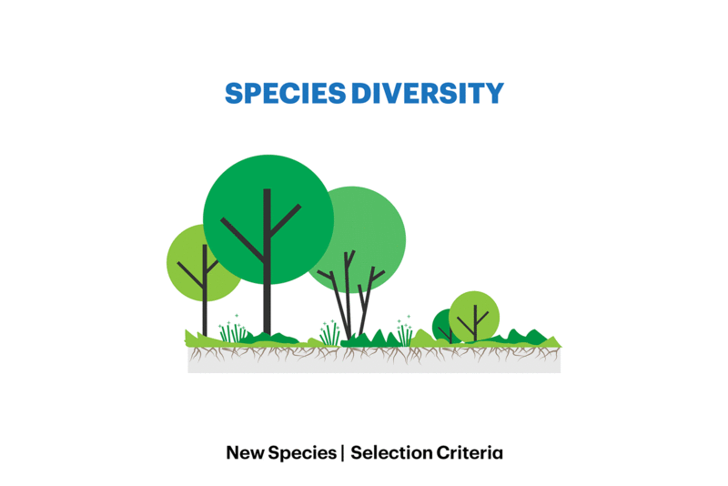 东河公园一期丨United StatesNew York丨MNLA,AKRF + KSE等多家机构-19