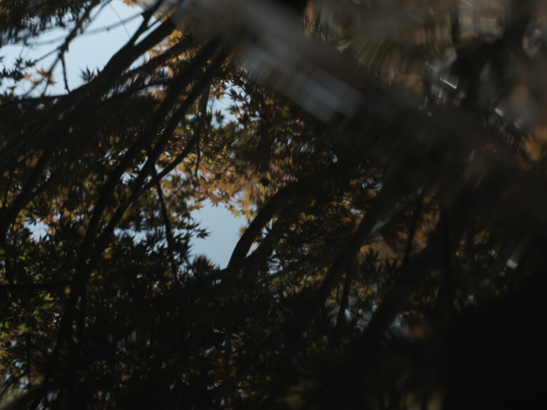 山风徐来——极野京韵的东方疗愈居所|金茂北京璞逸丰宜-54