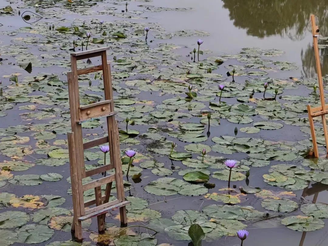《莲颂》数字影像专题片丨中国杭州丨杭州国美建筑设计研究院有限公司-12