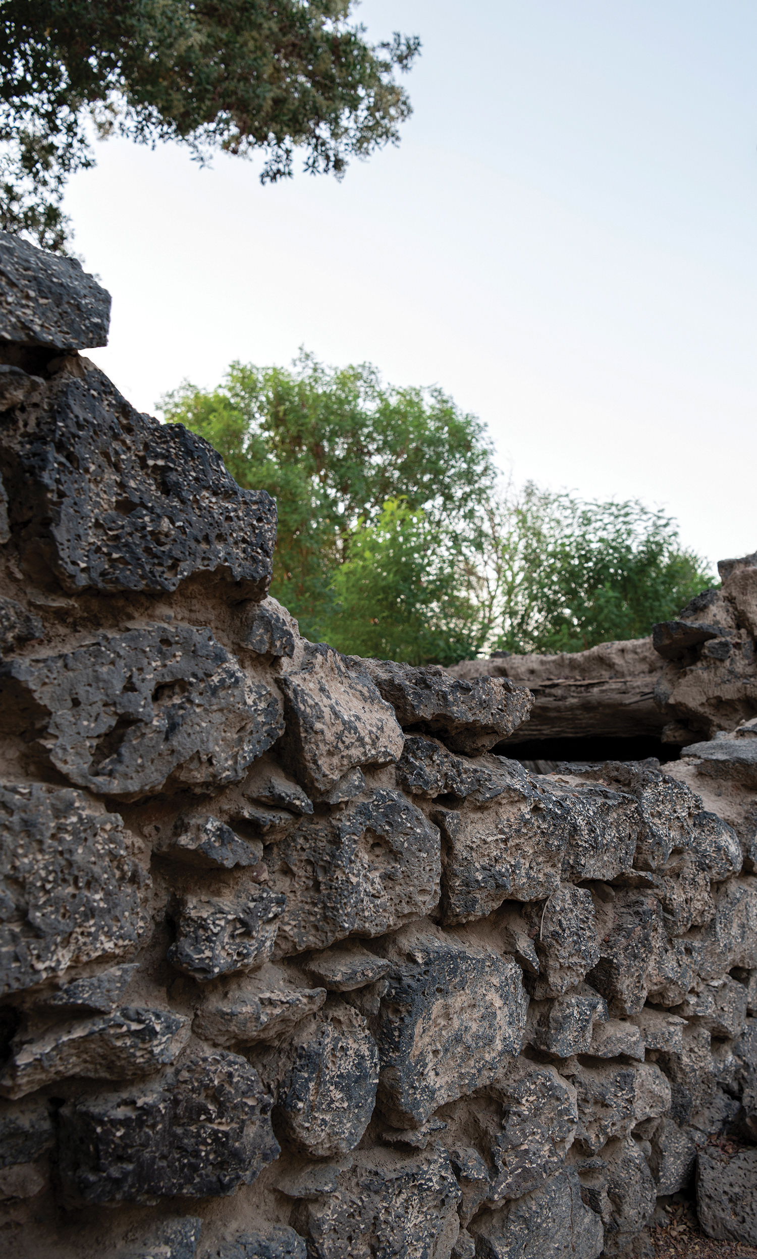 麦地那地标丨Saudi ArabiaMedina-10