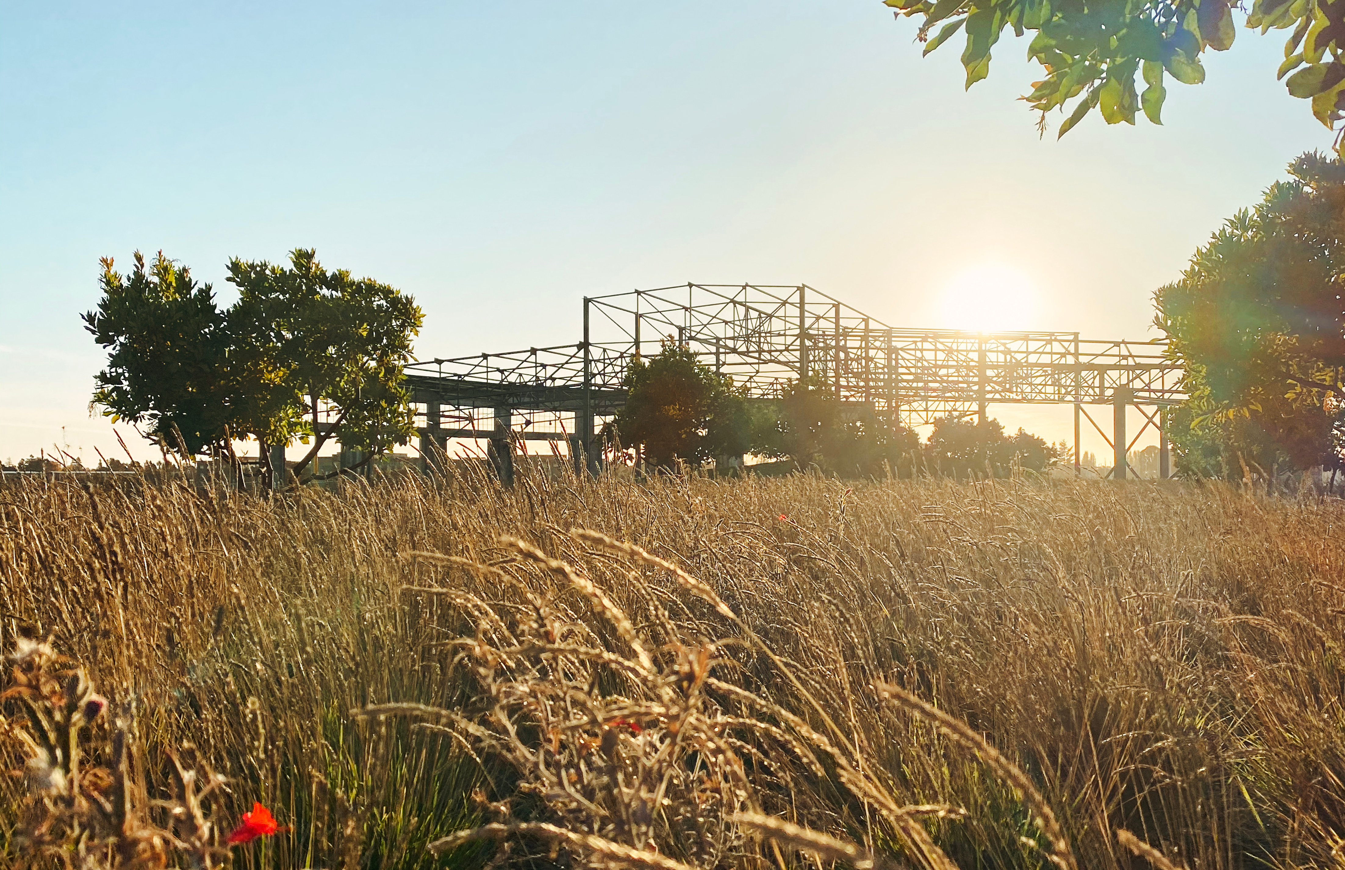 布鲁克林盆地镇公地丨美国丨Einwiller Kuehl Landscape-29