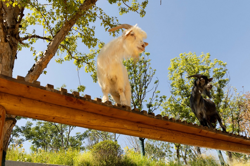 武汉麓客岛一期景观丨中国武汉丨WTD纬图设计,奥雅设计,素水设计-42