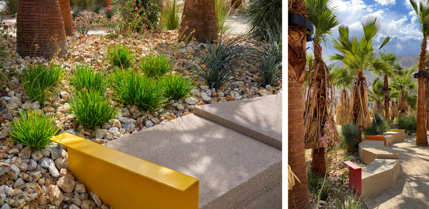 棕榈泉市中心公园丨美国丨RIOS-8