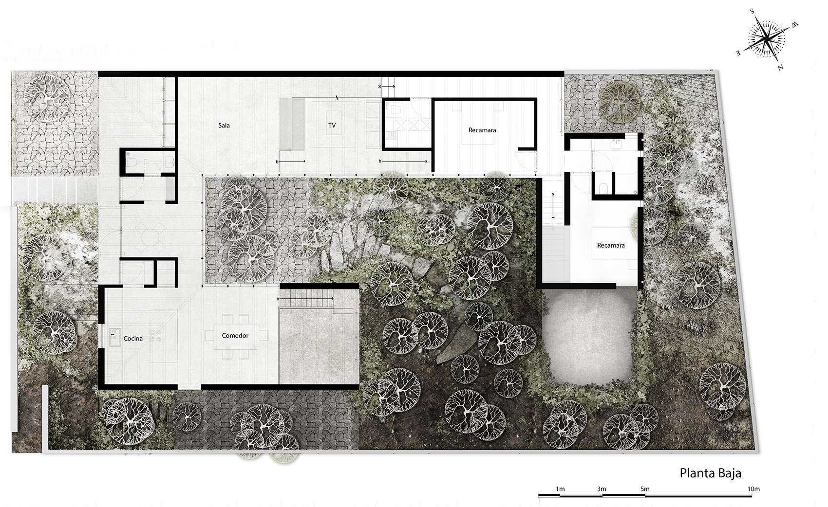 Caribu 住宅丨墨西哥丨Taller Tequio-56