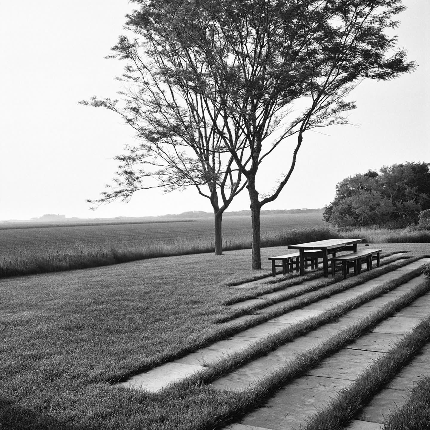 长岛 Wainscott 农场-4