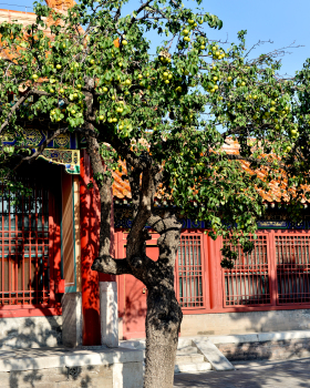 中国匠人精良工艺（故宫美物）