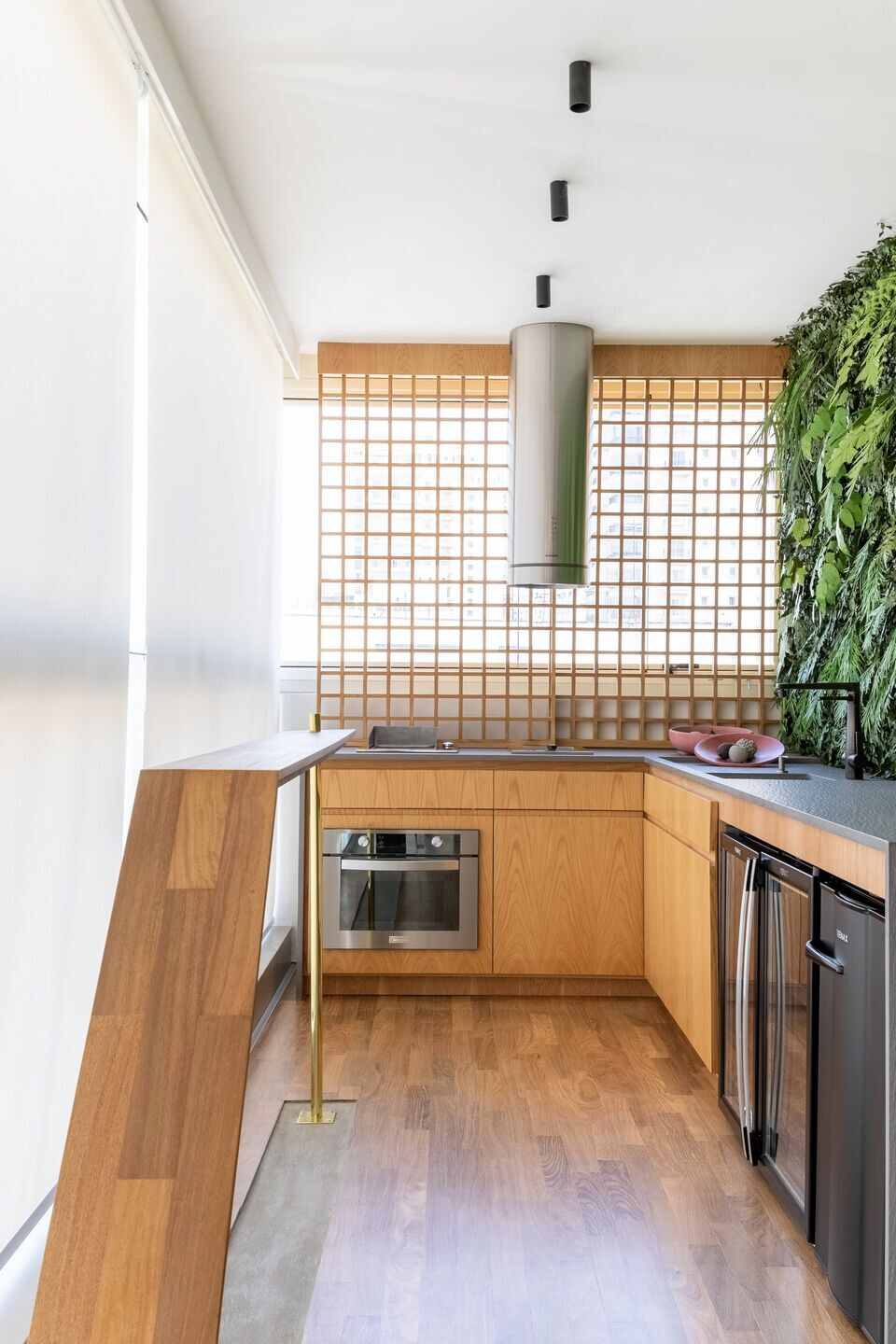 巴西圣保罗 FT 公寓丨Zalc Arquitetura(Rafael Zalc)-70