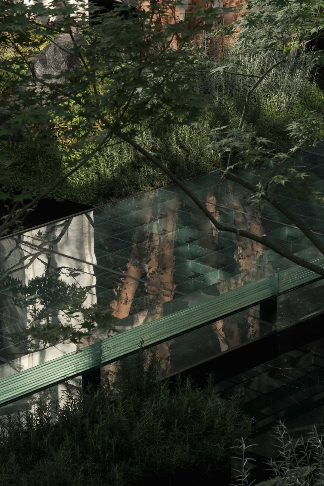 苏州蠡棠森屿-在苏州城市注脚下，种上一片森林丨中国苏州丨MIND  迈德景观-10