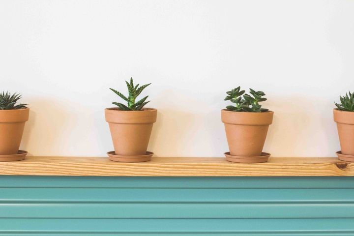 西班牙"绿色咖喱"餐厅,明亮温馨的素食空间-24