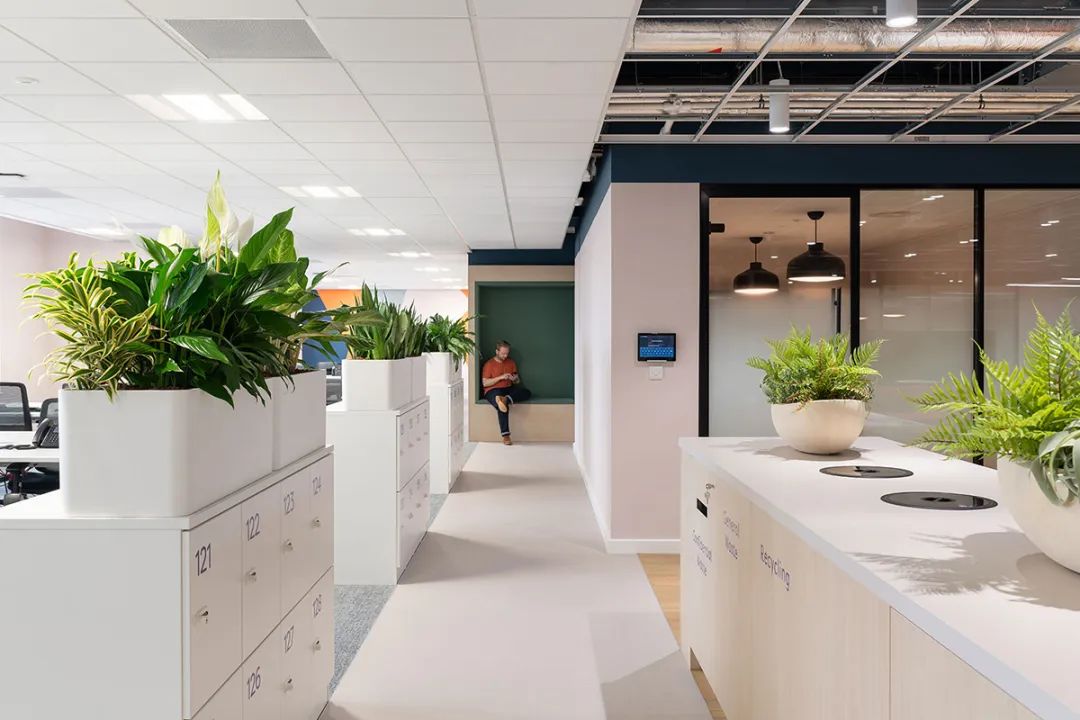 Onward Homes 利物浦总部丨英国利物浦丨5plus Architects-16