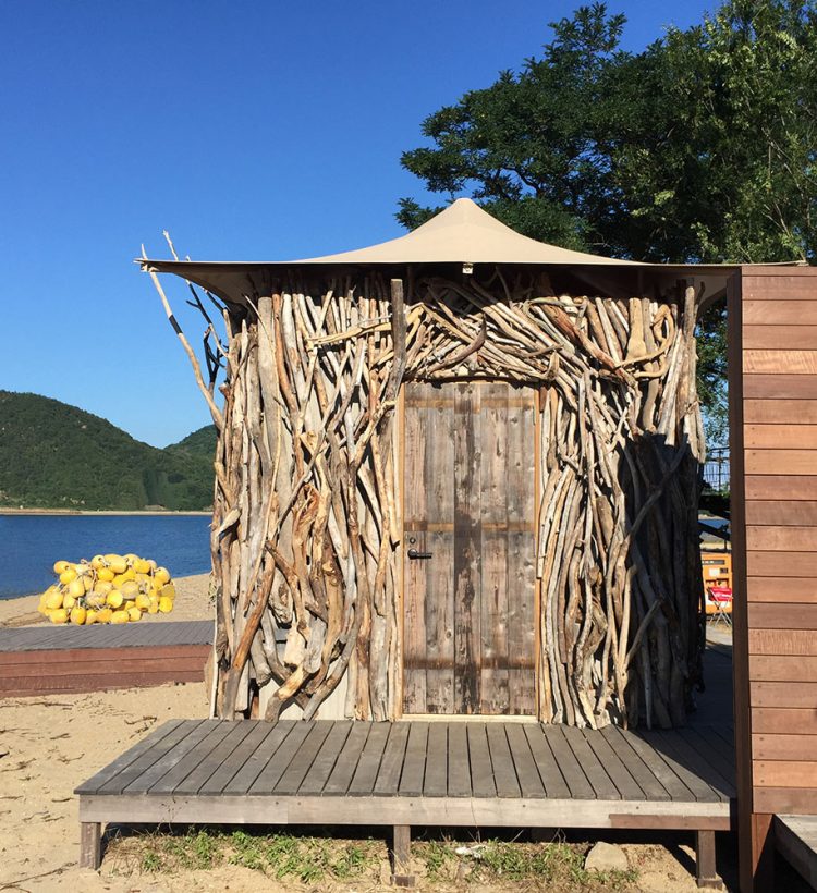 Tree terrace on uninhabited island-9