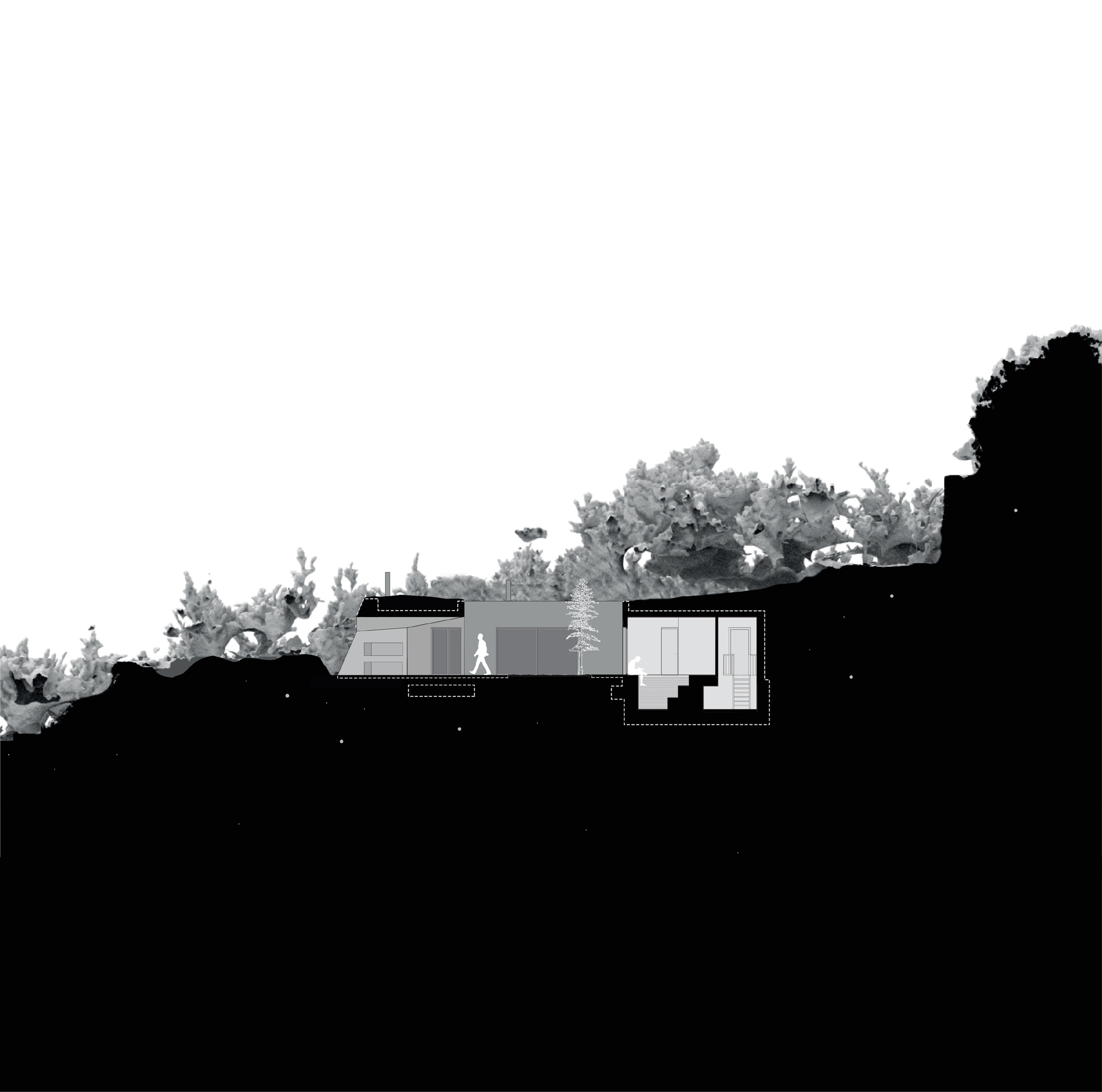 室内家居丨伊朗丨Olgooco-49