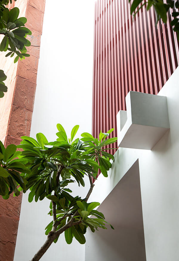 House With 49 Trees RENESA-6