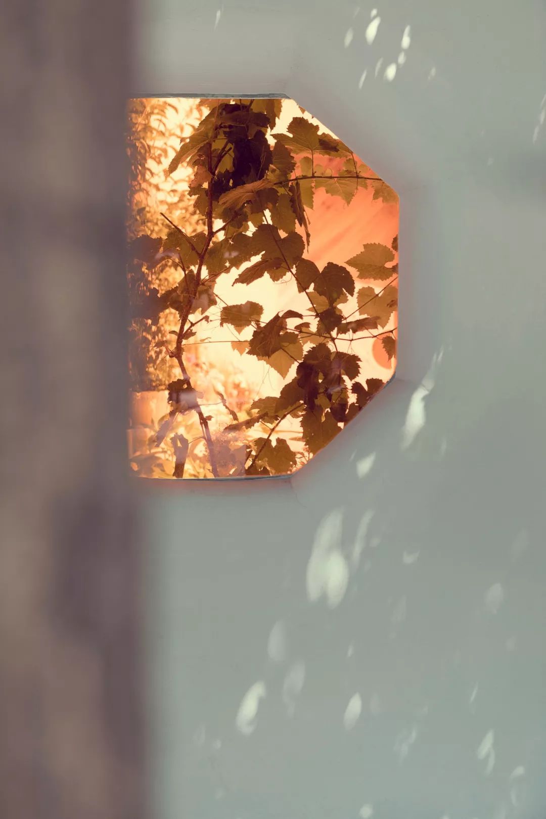 沈阳甜物研食，法式浪漫与自然生机的美妙融合-28