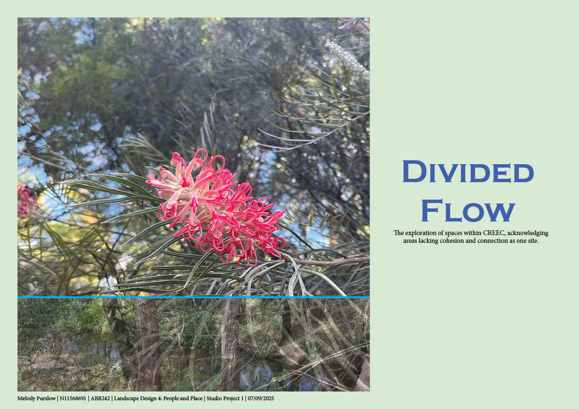 Divided Flow-0
