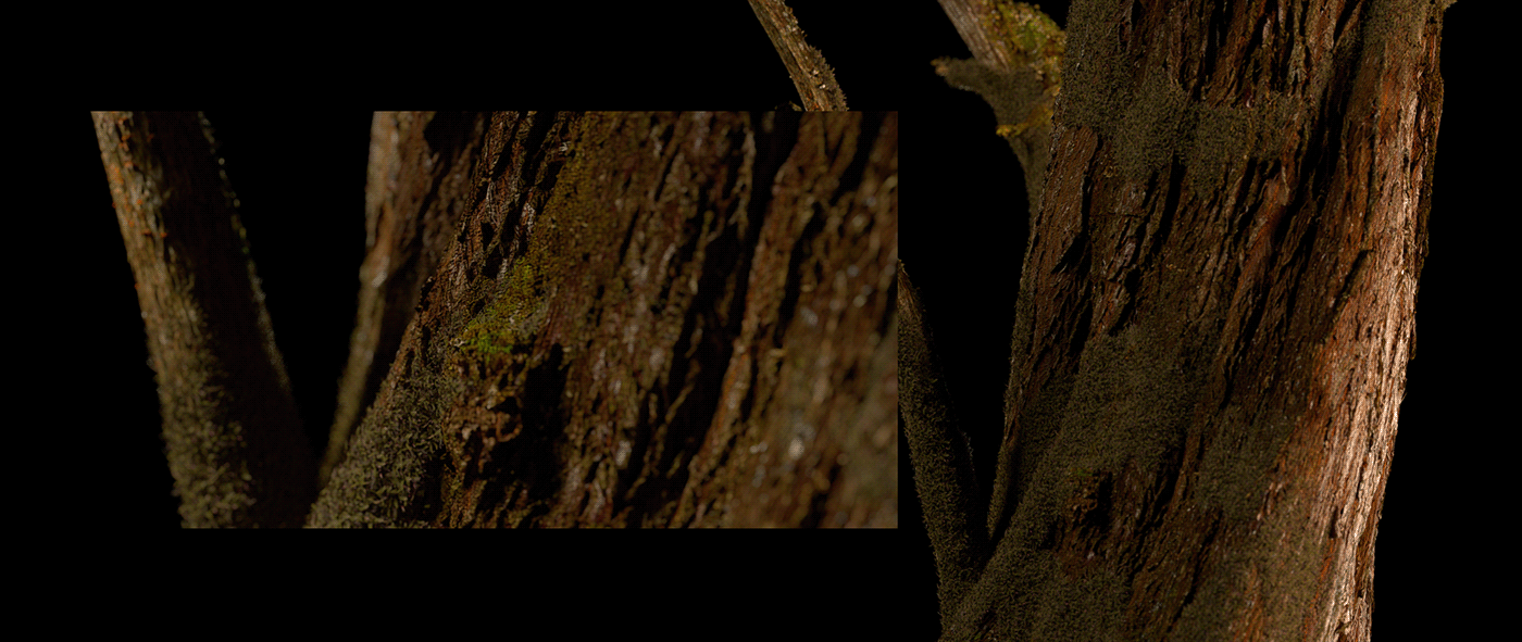 被征服的自然-7