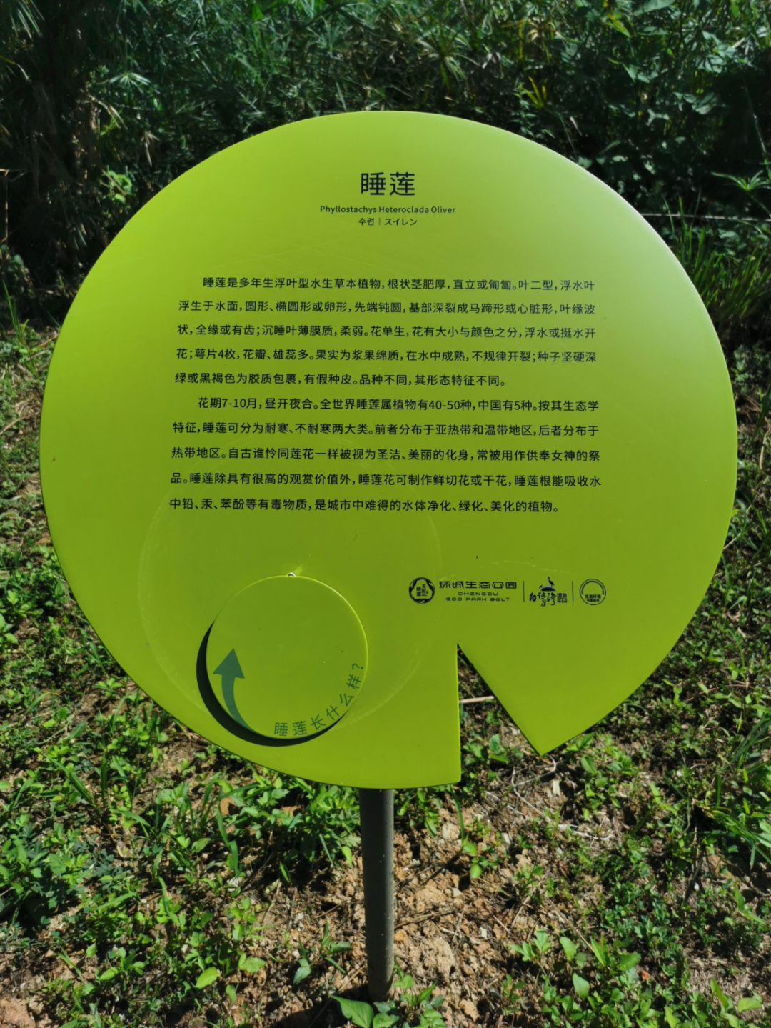 白鹭湾湿地公园自然探索基地丨中国成都丨上海柏熙标识有限公司-66