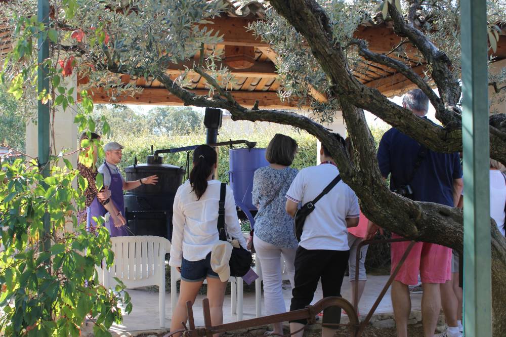 The Luberon Lavender Museum - France-6