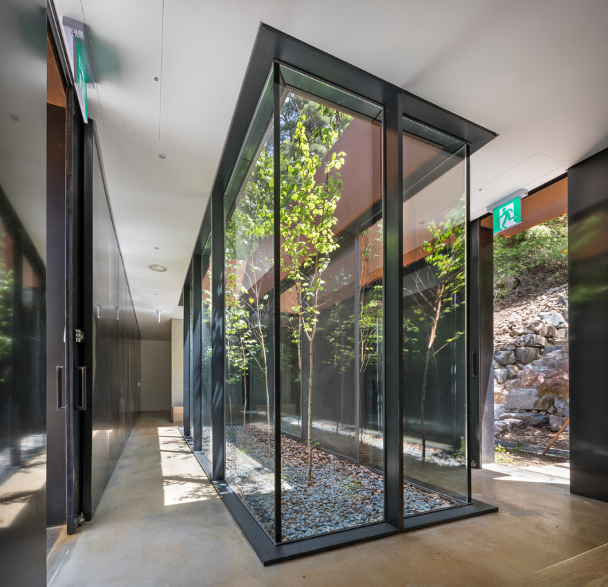 韩国健康中心-20