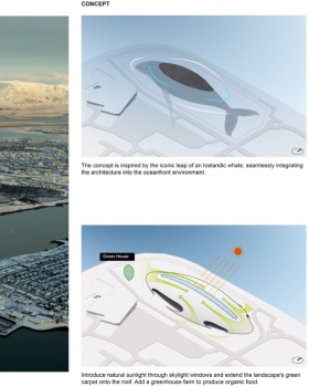 鲸跃丨TurkeyIcel丨Yufeng Tu,Jiayu Zhu,Peixuan Wu