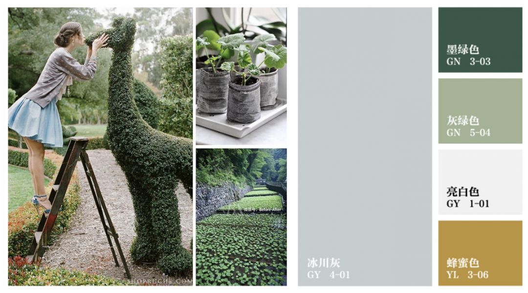 康盛装饰打造 600㎡自然森系空间-0