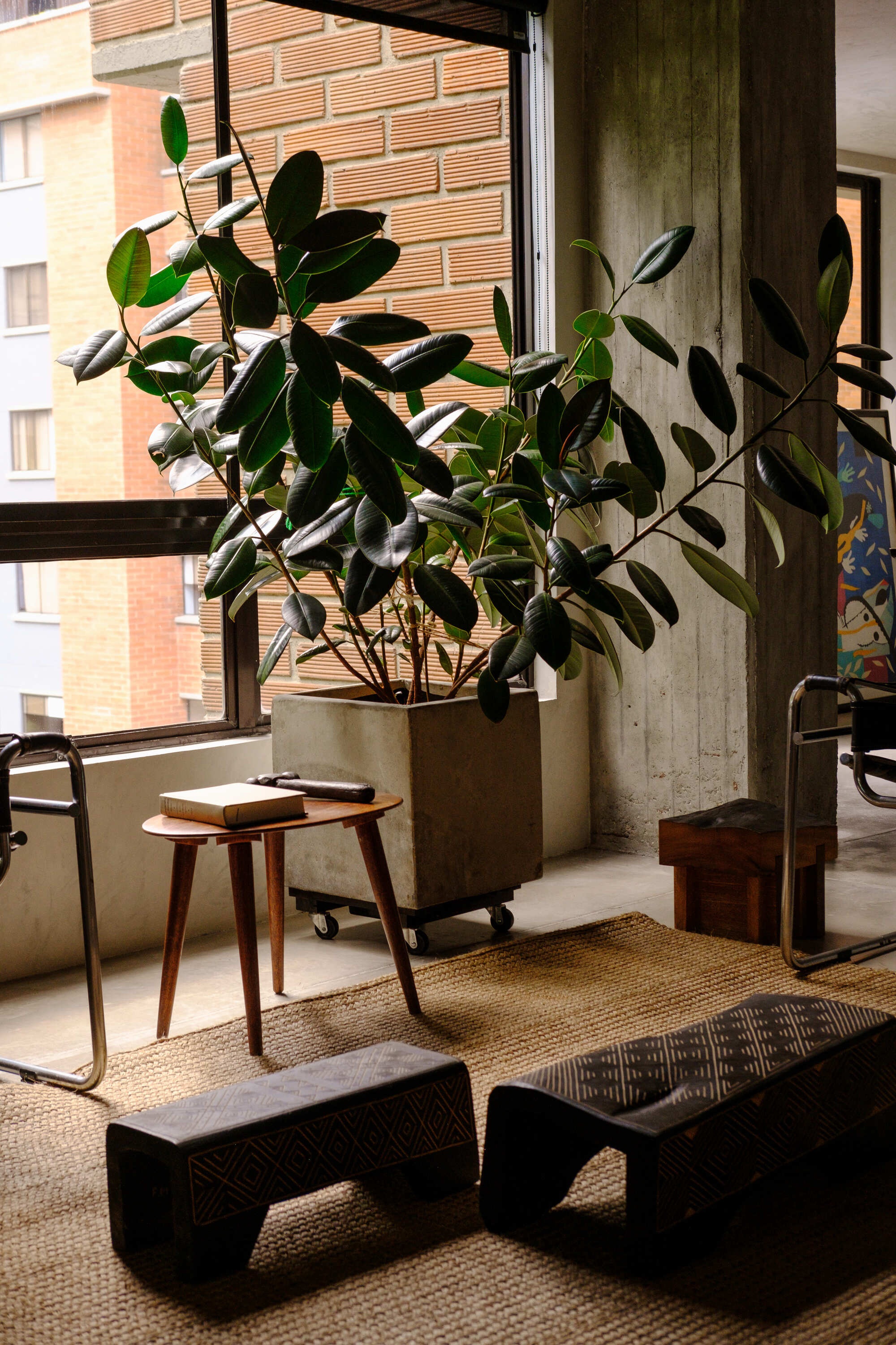 哥伦比亚麦德林森林公寓丨Trópico Arquitectura-6