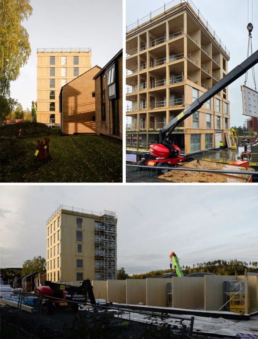 Kallerud学生公寓:模块化木结构住宅-104