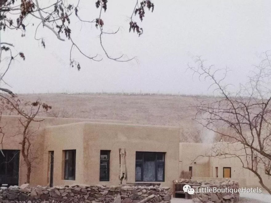 大乐之野·中卫沙坡头 | 原生态黄河沙漠民宿设计-0