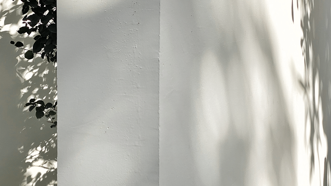 LICO 力高学社 7 月月度会议丨LICO 力高设计-11